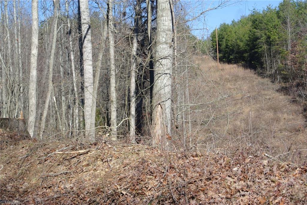 5 Romie Snow Road Dobson, NC 27017 - Photo 18 of 19 Gallery Image 18