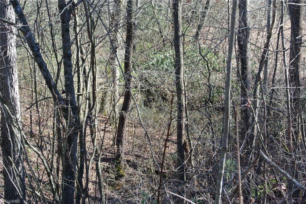 5 Romie Snow Road Dobson, NC 27017 - Photo 6 of 19 Gallery Image 6