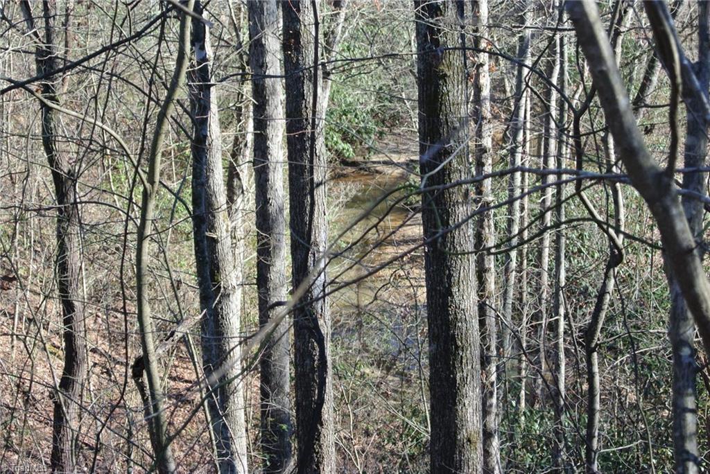 5 Romie Snow Road Dobson, NC 27017 - Photo 7 of 19 Gallery Image 7