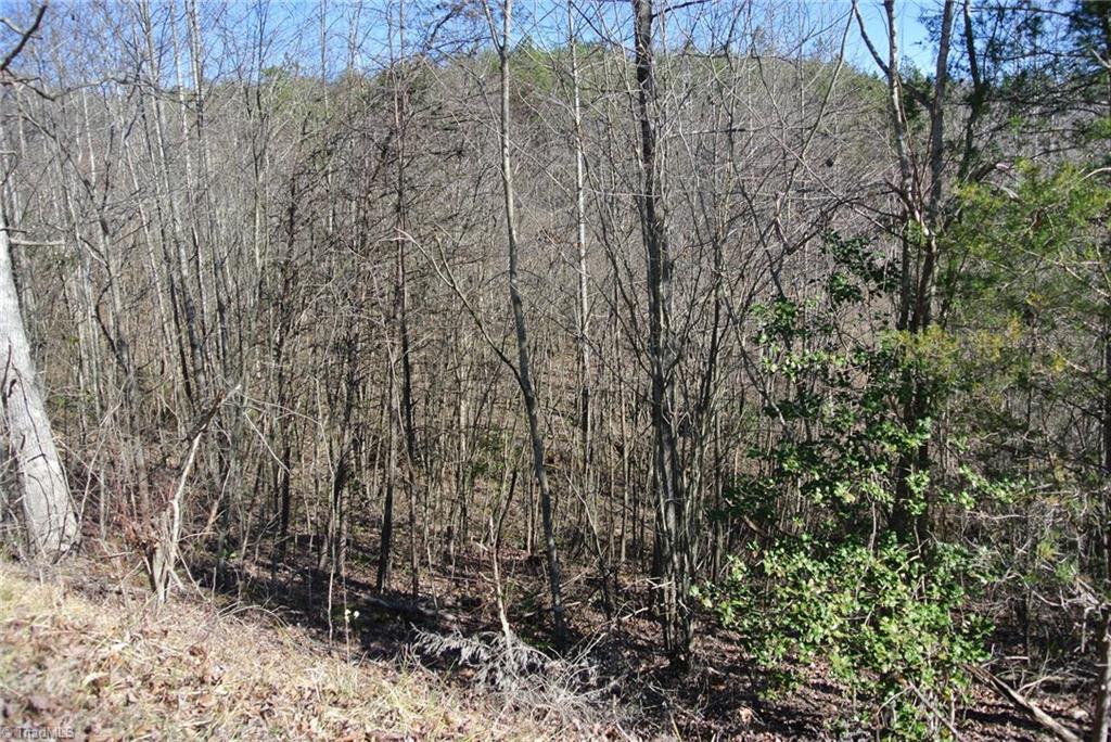 5 Romie Snow Road Dobson, NC 27017 - Photo 10 of 19 Gallery Image 10