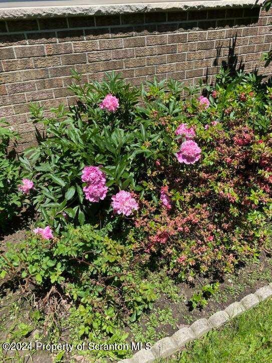 302 Wilcrest Road Moscow, PA 18444 - Photo 68 of 69 Gallery Image 68