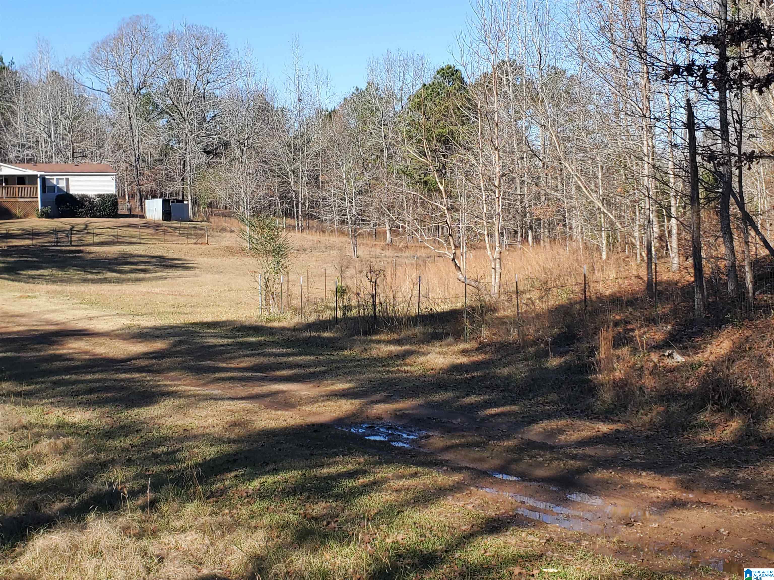 262 County Road 57 Verbena, AL 36091 - Photo 8 of 44