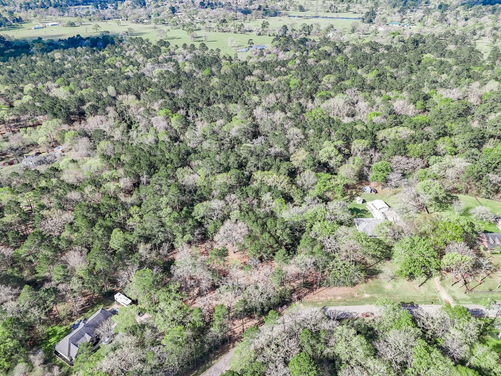 0 Nottingham Circle Hockley, TX 77447 - Photo 12 of 30 an aerial view of a houses with a yard