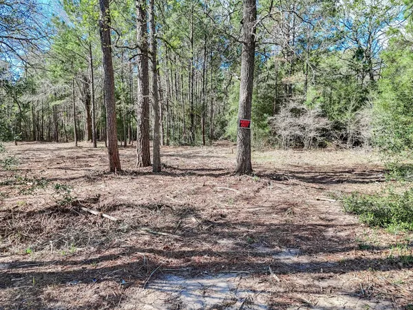 a view of a yard with wooden fence