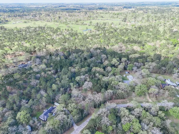 a view of a yard with trees