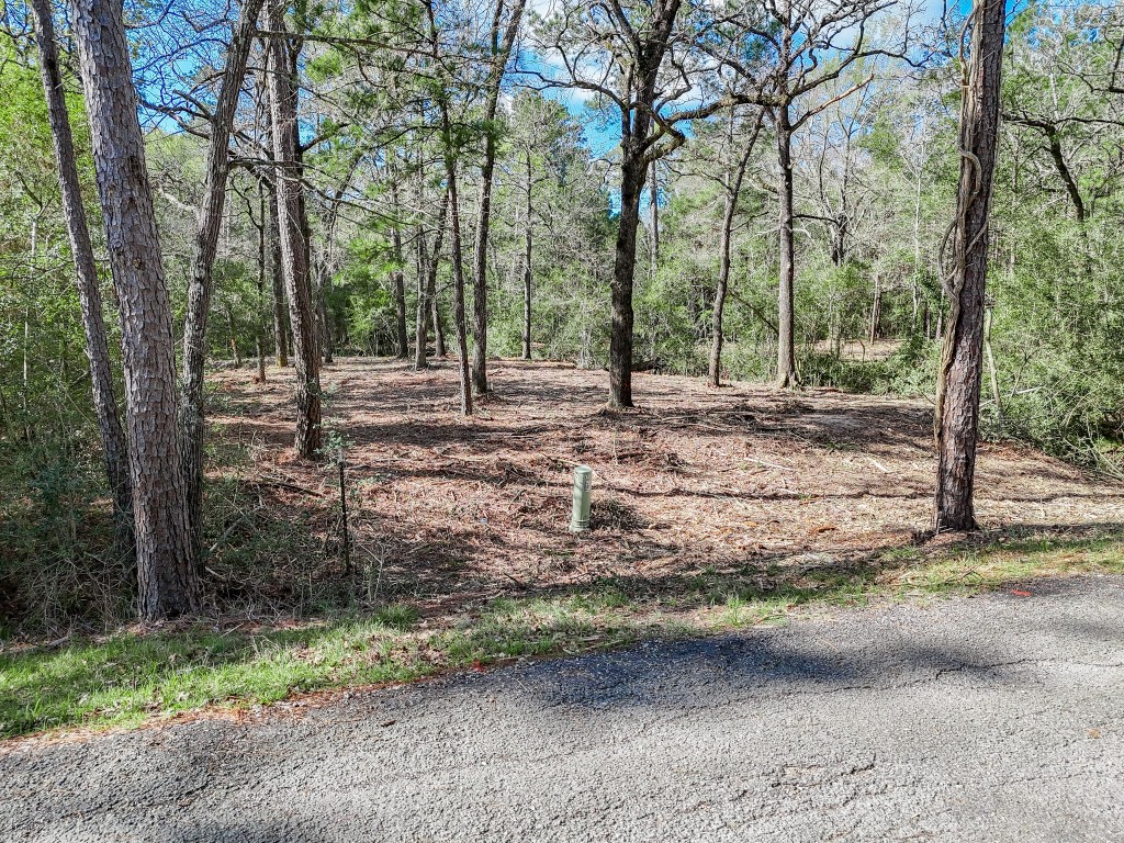 0 Nottingham Circle Hockley, TX 77447 - Photo 17 of 30 a view of a yard with trees