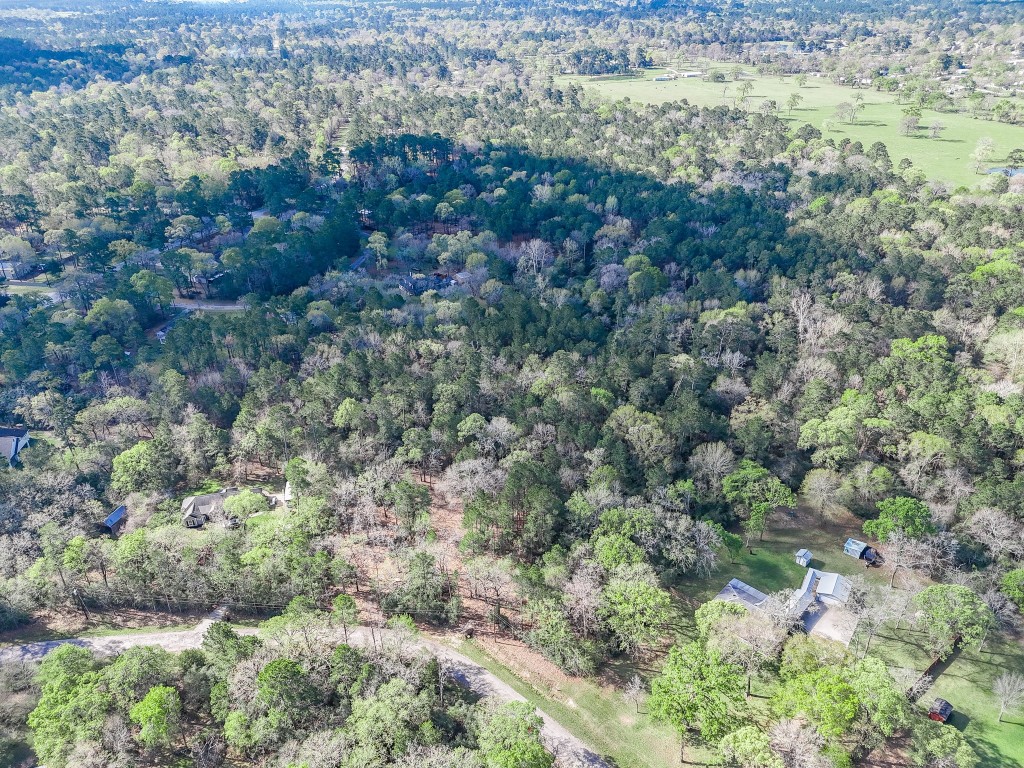 0 Nottingham Circle Hockley, TX 77447 - Photo 18 of 30 a view of a forest with a lush green forest