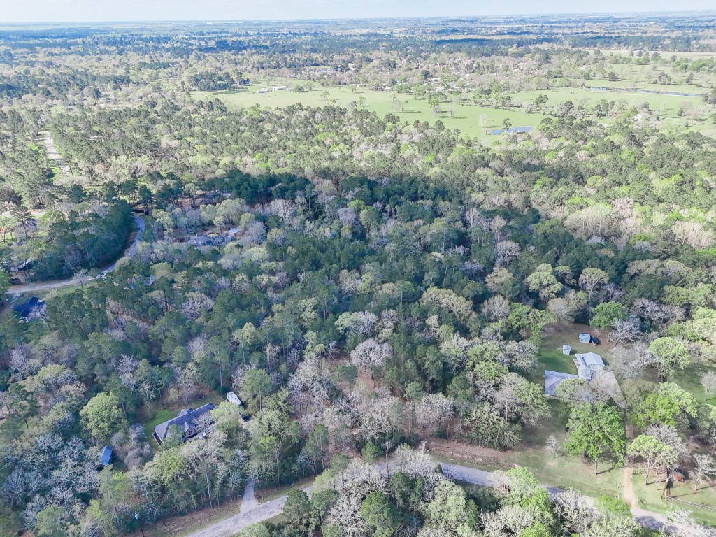 0 Nottingham Circle Hockley, TX 77447 - Photo 19 of 30 an aerial view of forest