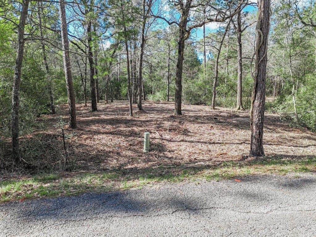 0 Nottingham Circle Hockley, TX 77447 - Photo 27 of 30 a view of a yard with trees