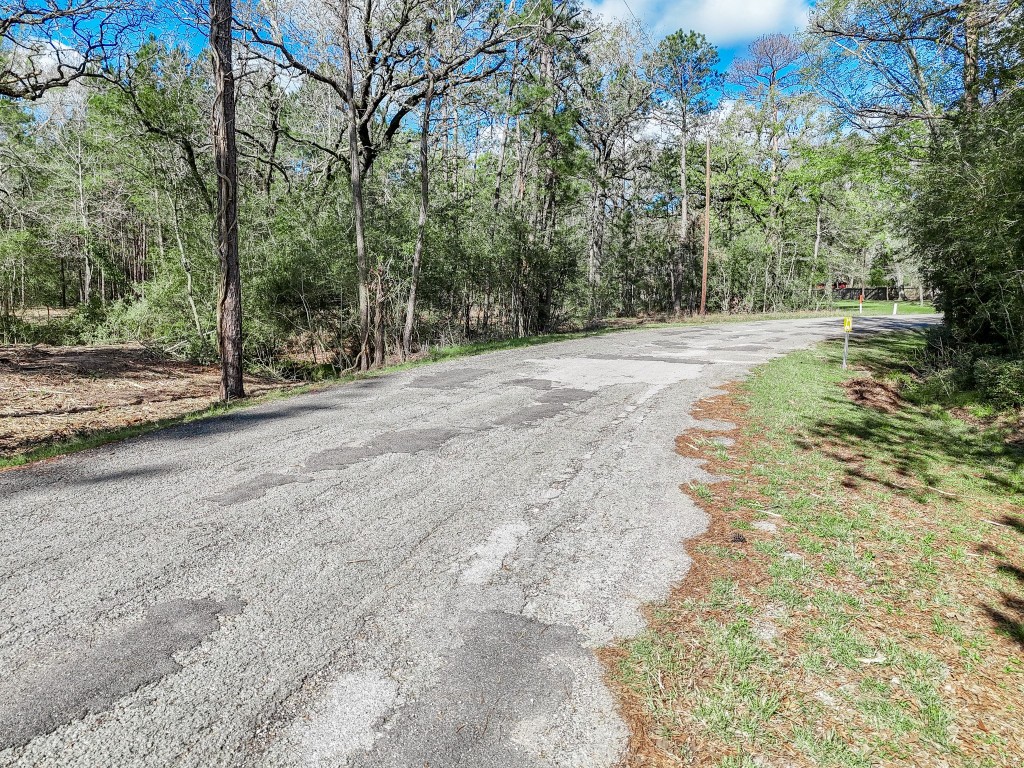 0 Nottingham Circle Hockley, TX 77447 - Photo 29 of 30 a view of a yard with large trees