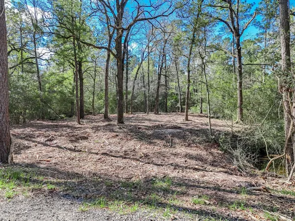 a view of outdoor space with trees