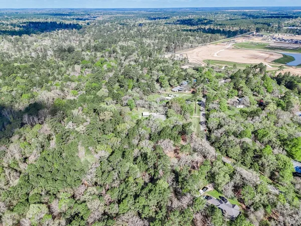 a view of a yard with trees