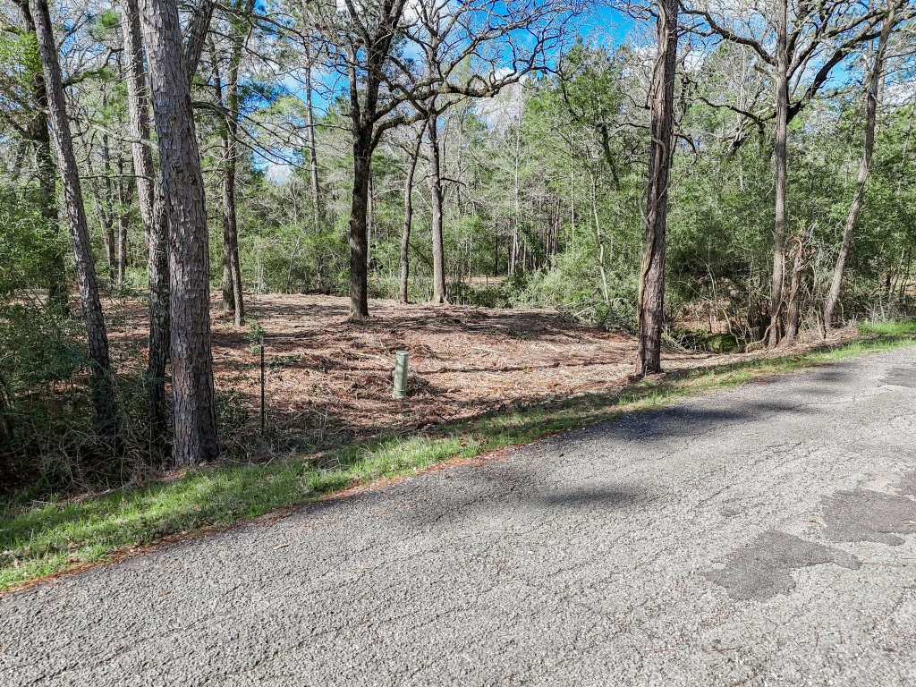 0 Nottingham Circle Hockley, TX 77447 - Photo 8 of 30 a view of a yard with trees
