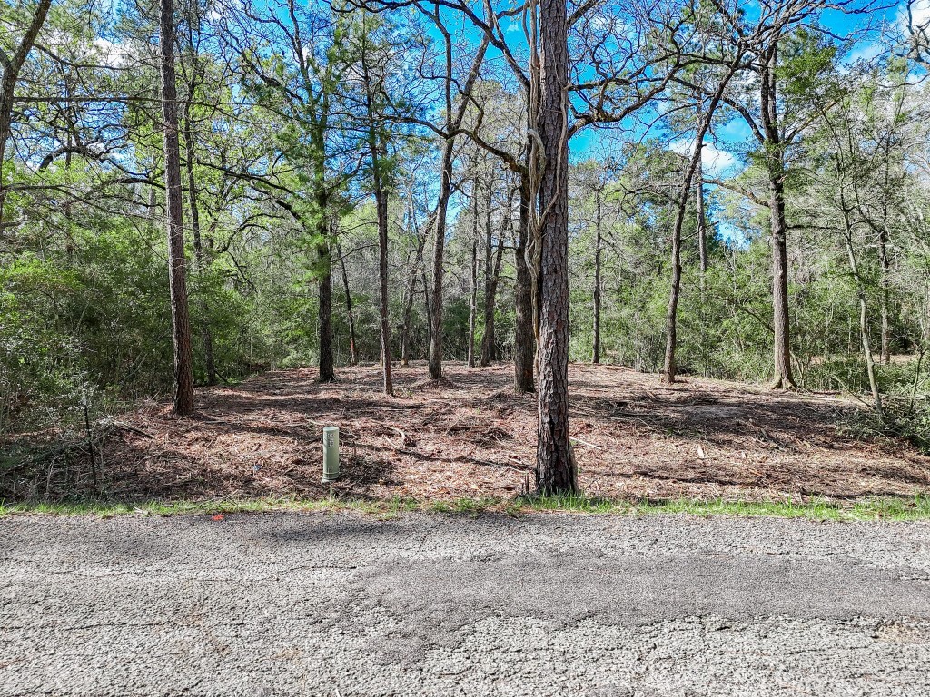 0 Nottingham Circle Hockley, TX 77447 - Photo 10 of 30 a backyard of a house with lots of green space
