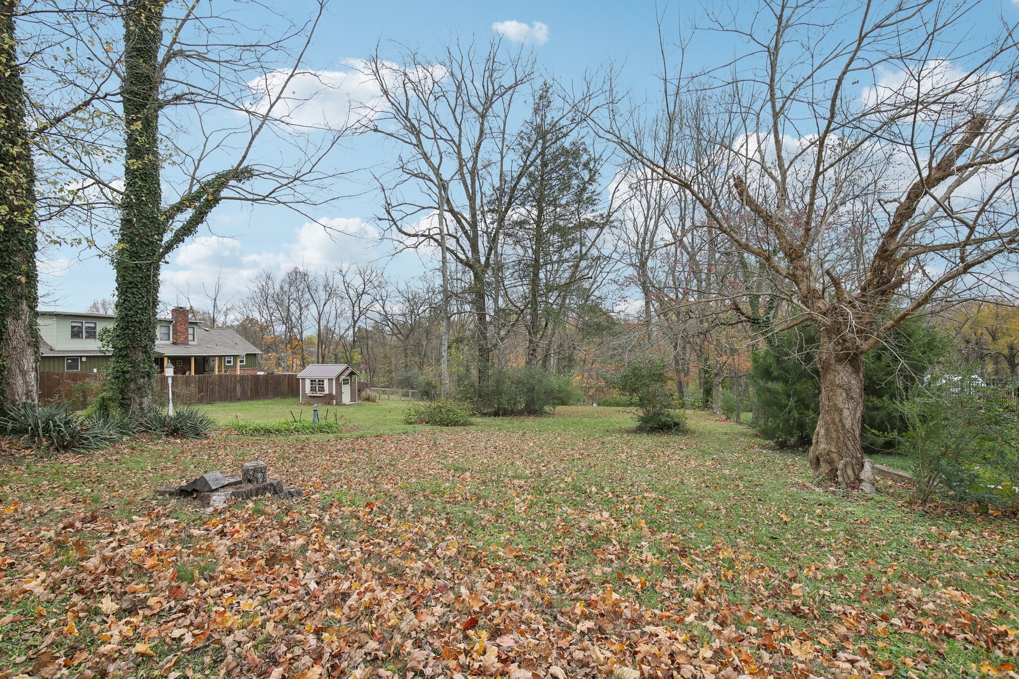 304 North Main Street Springfield, TN 37172 - Photo 49 of 60 a view of a yard with a tree