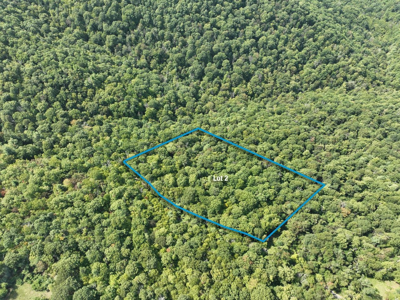 Lot 2 Price Ridge Road Stanley, VA 22851 - Photo 1 of 43 Gallery Image 1