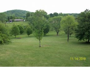 315 Montezuma Road Kingsport, TN 37664 - Photo 13 of 21 Photo 13