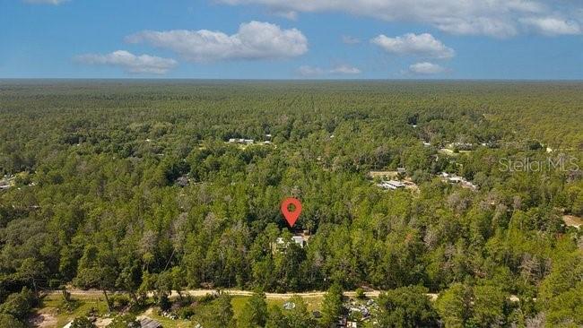 24607 Polar Bear Road Paisley, FL 32767 - Photo 5 of 47