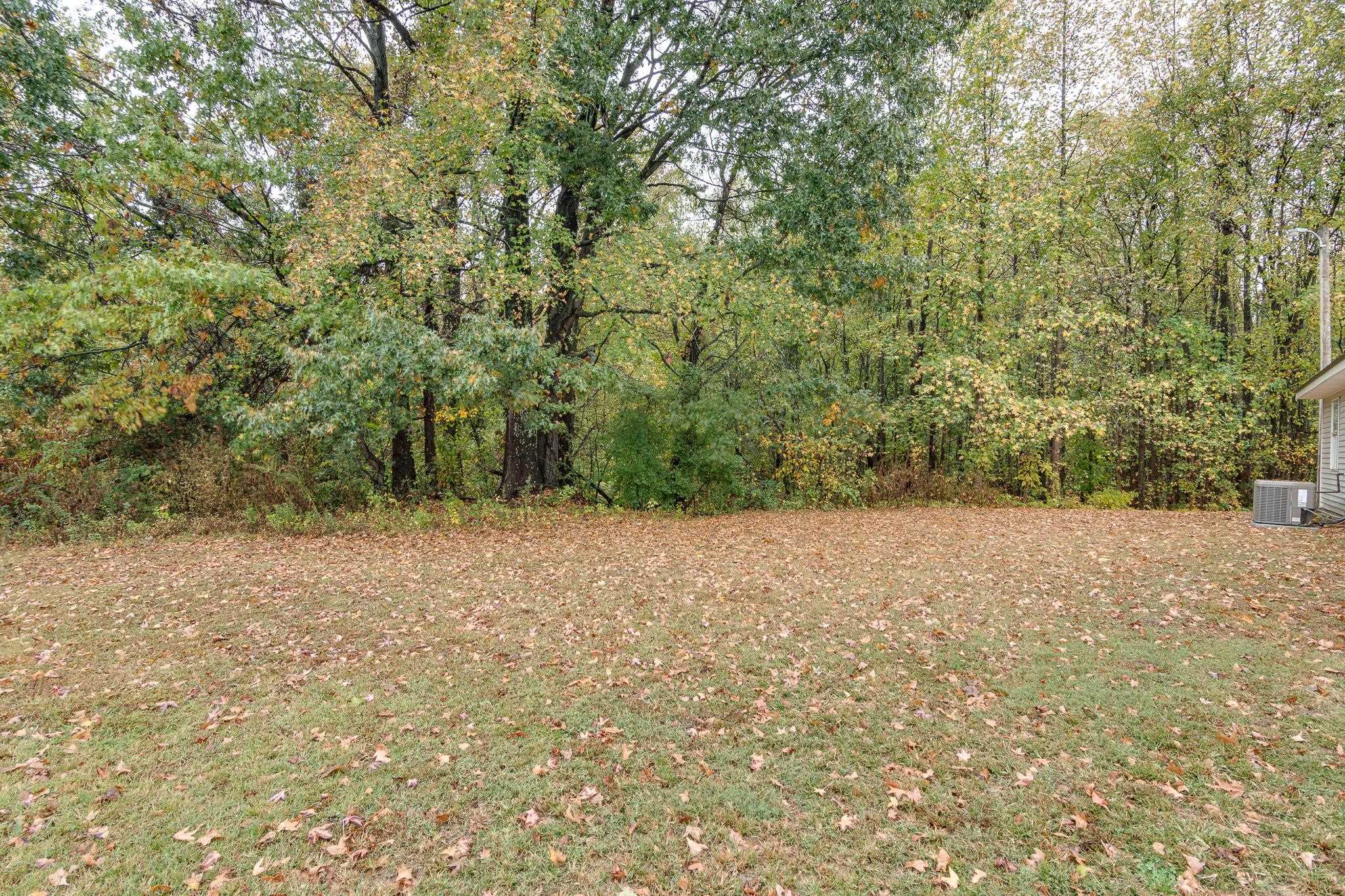 282 Volz Road Ripley, TN 38063 - Photo 19 of 25 a view of a yard with a tree