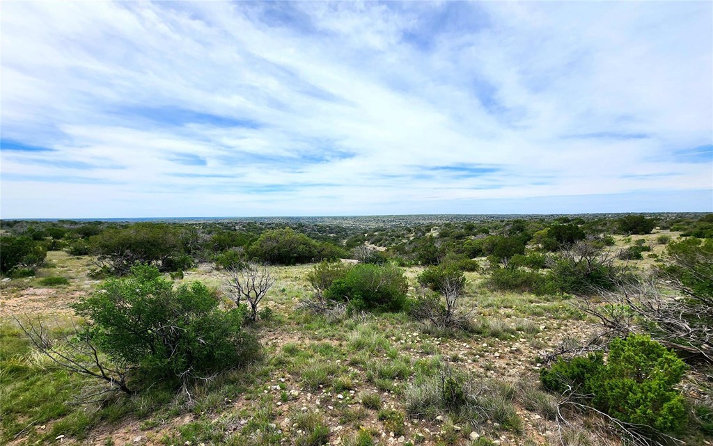 Tbd Tbd Peck Road Comstock, TX 78837 - Photo 21 of 21
