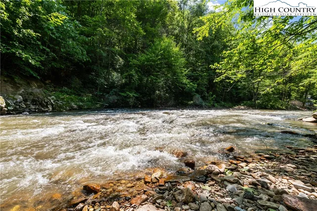 a view of yard with trees