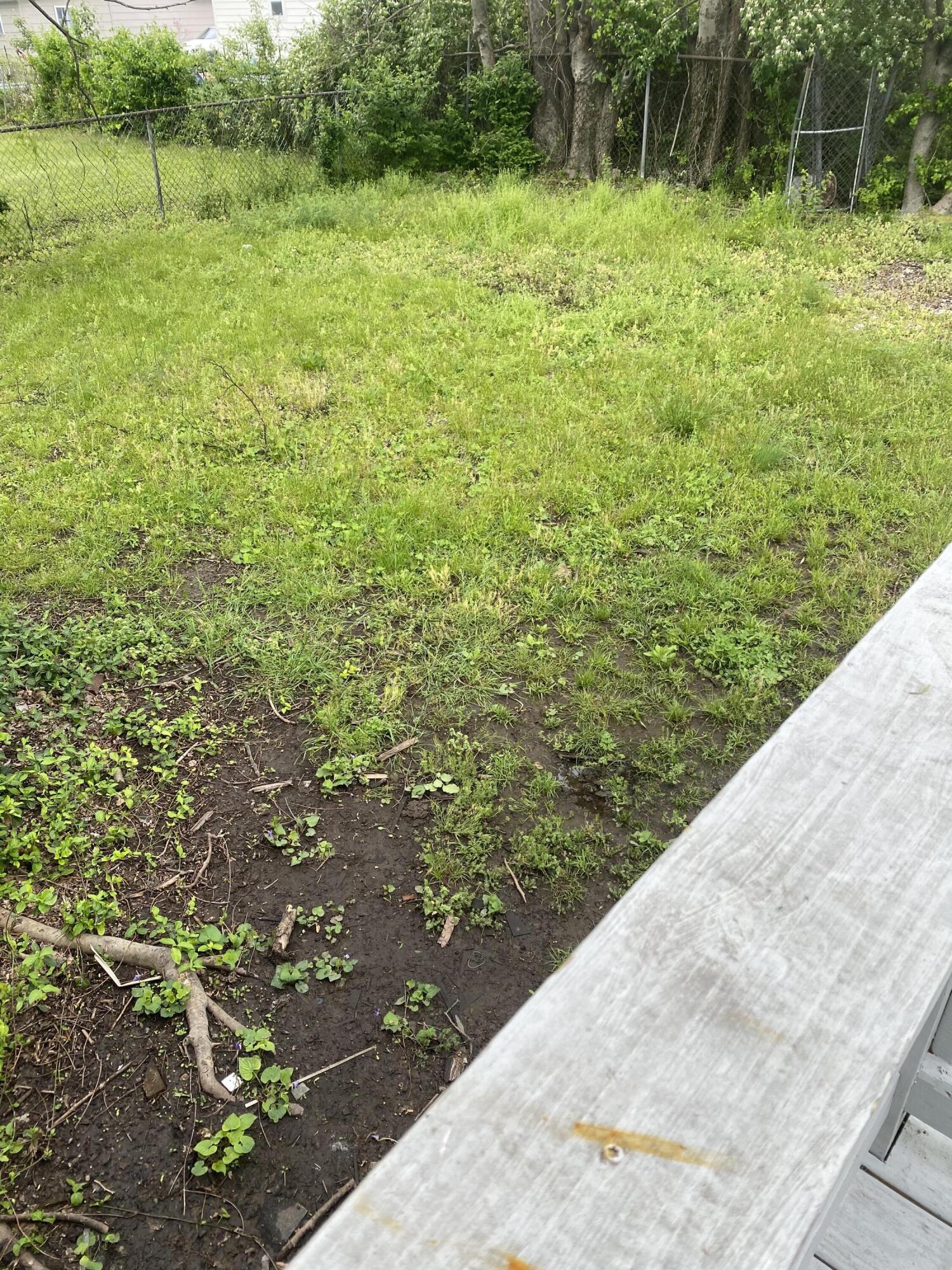 1815 Newell Avenue Chattanooga, TN 37404 - Photo 33 of 33 IMG_5253