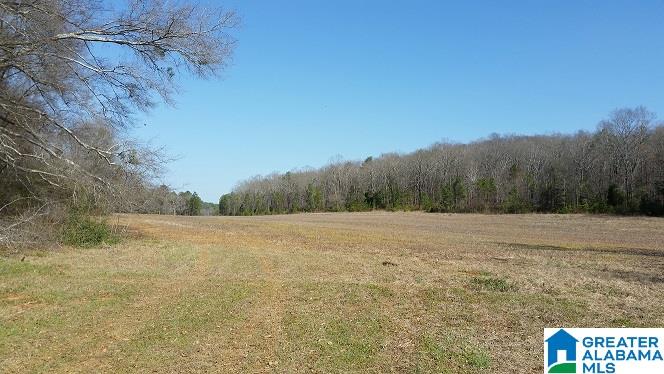 Turner Mill Road Talladega, AL 35160 - Photo 10 of 10