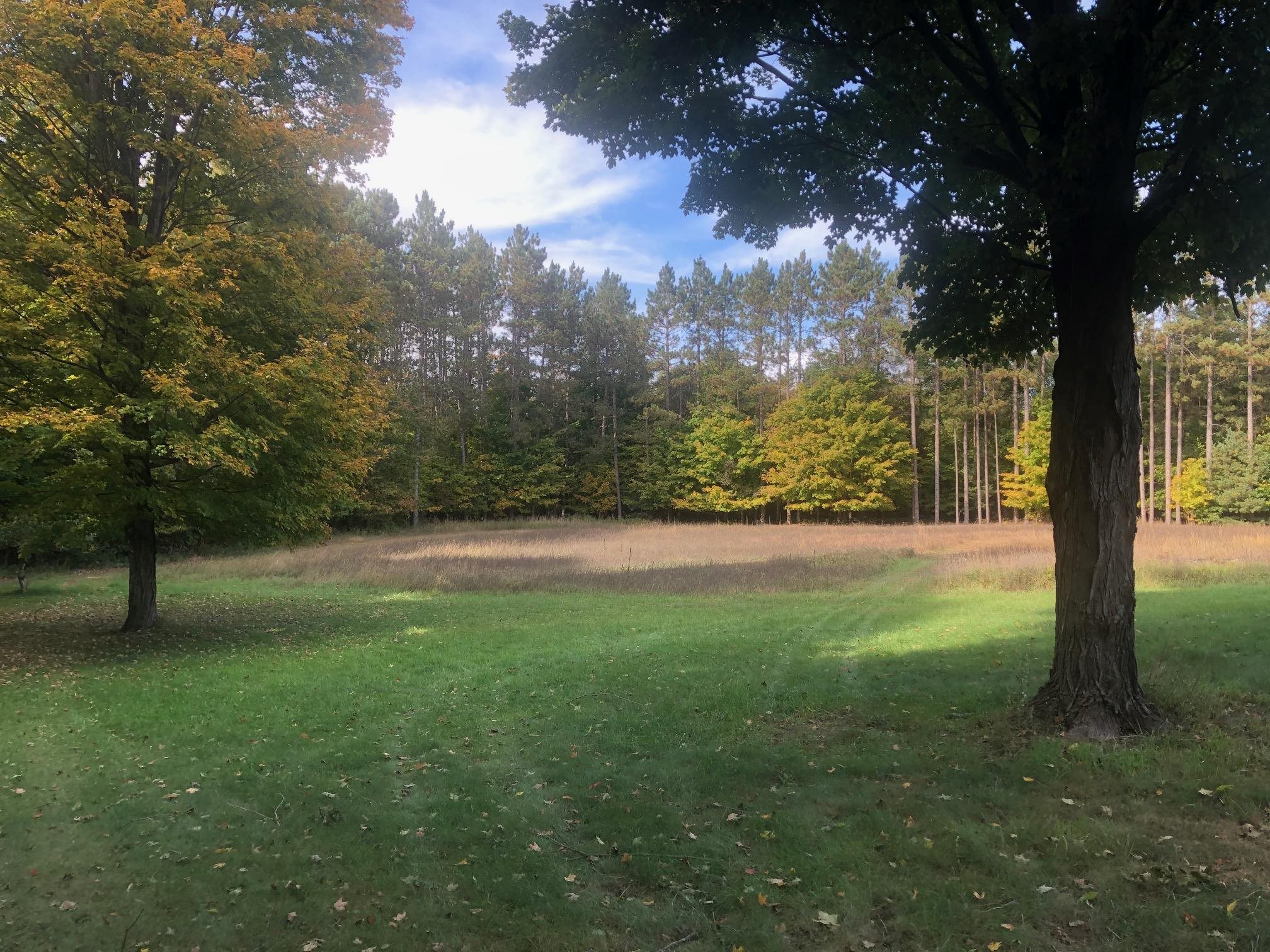 3406 Peckens Road Honor, MI 49640 - Photo 15 of 51 1906221-14.JPG