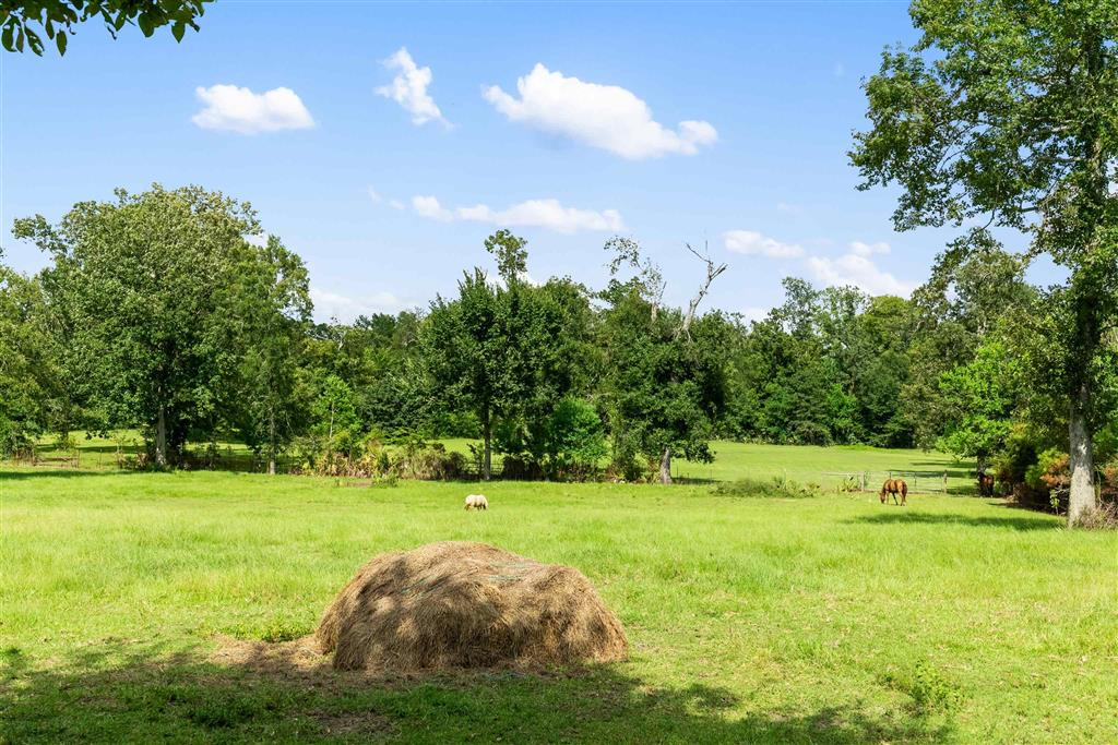 1218 Dunn Ferry Road Sulphur, LA 70663 - Photo 4 of 34