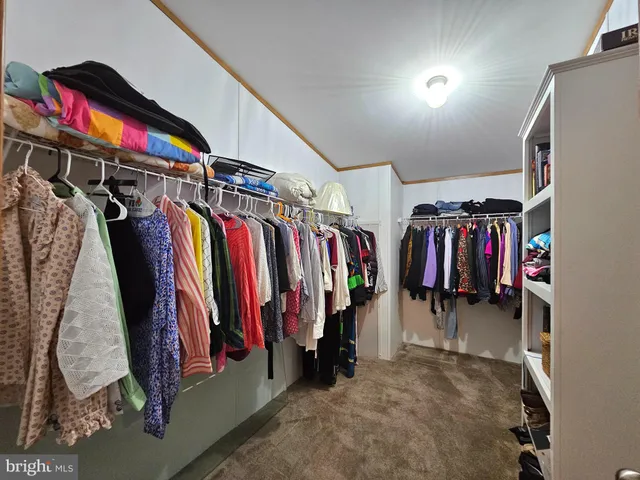 a view of walk in closet with clothes