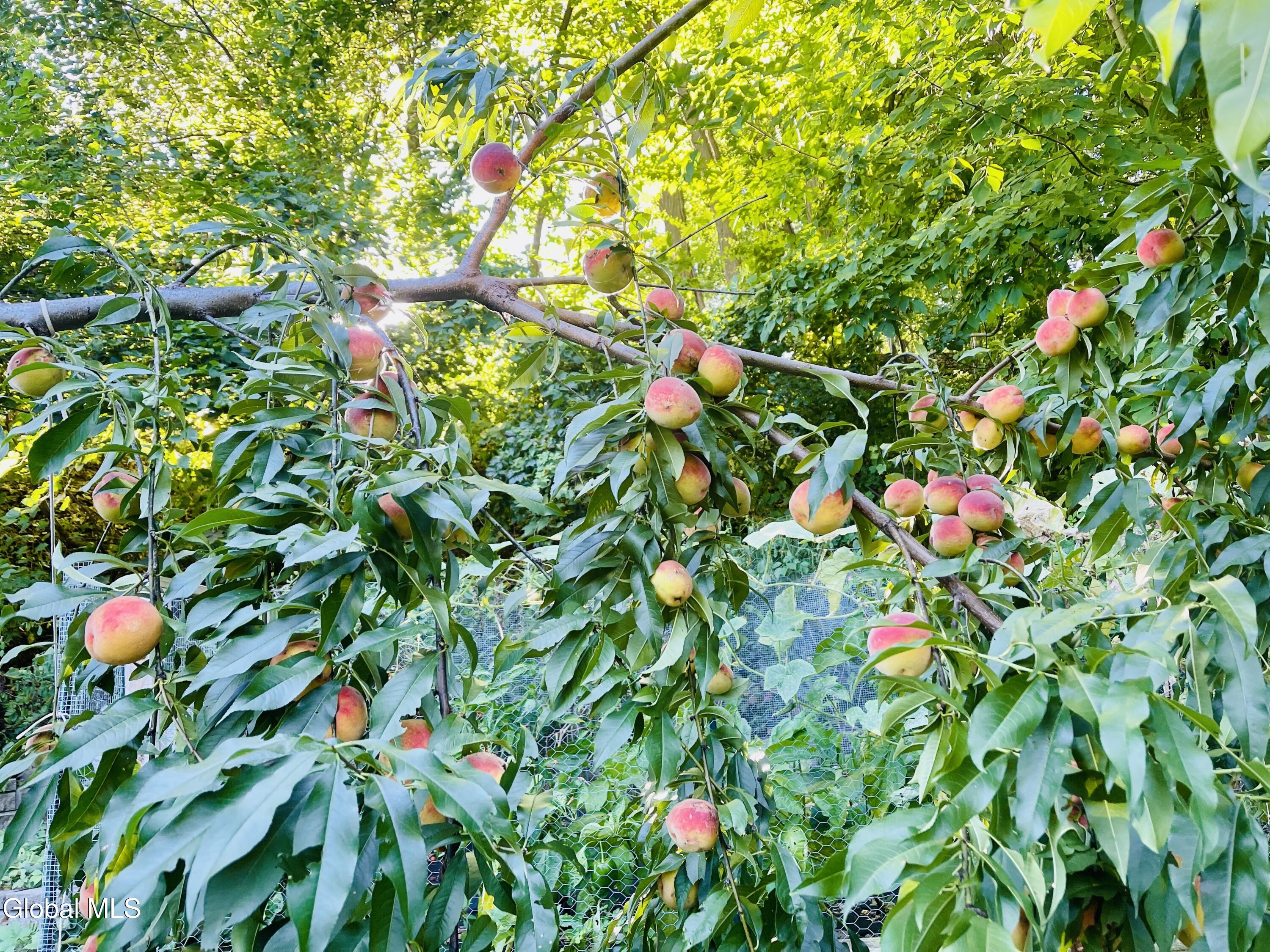 32 Twin Channels Road Queensbury, NY 12804 - Photo 21 of 27 IMG_3916