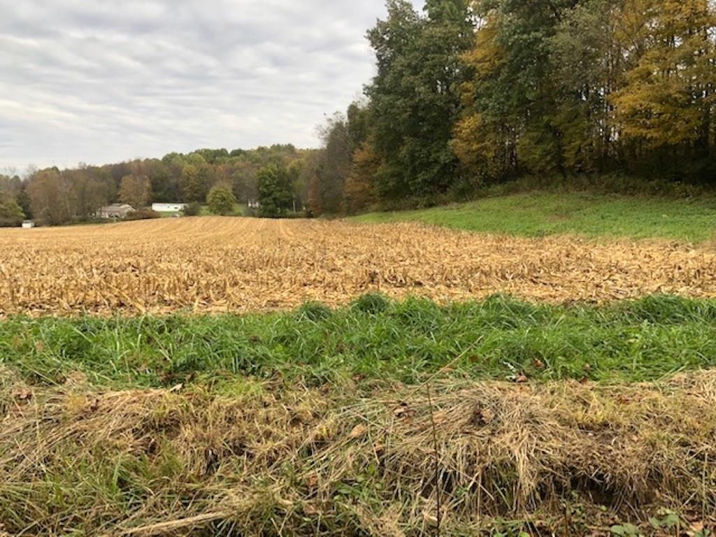 434 Old Sharon Road Mercer, PA 16137 - Photo 8 of 25 LAND
