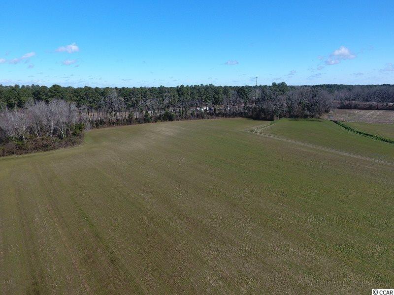 0 Stack Turner Road Chadbourn, NC 28431 - Photo 1 of 10