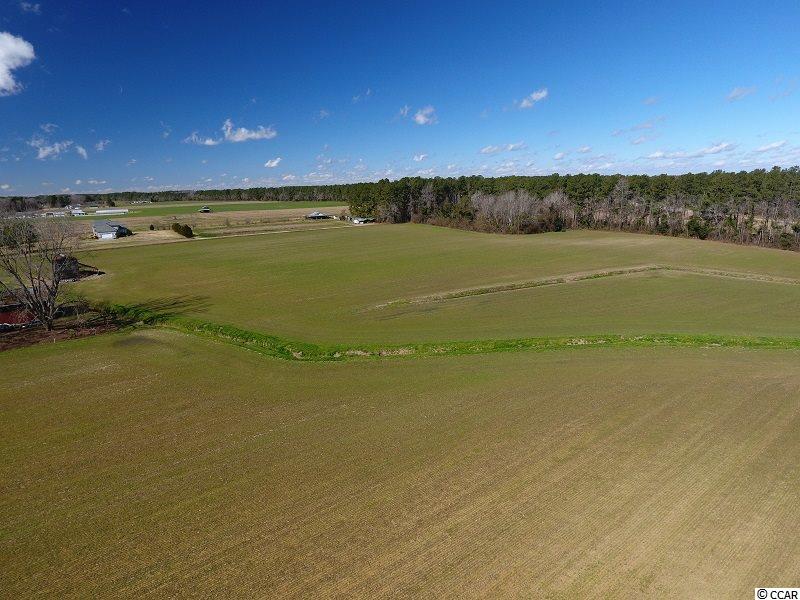 0 Stack Turner Road Chadbourn, NC 28431 - Photo 3 of 10