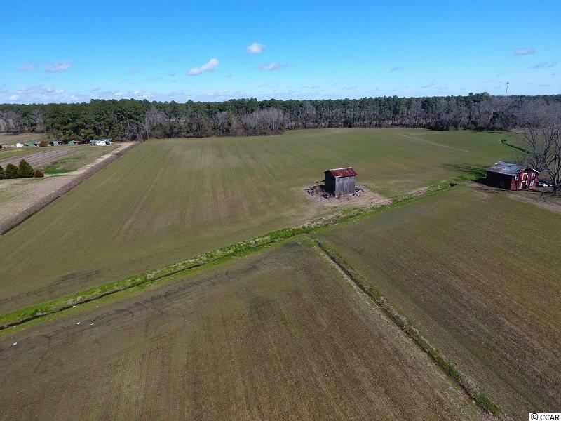 0 Stack Turner Road Chadbourn, NC 28431 - Photo 4 of 10