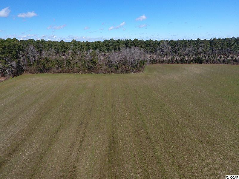 0 Stack Turner Road Chadbourn, NC 28431 - Photo 5 of 10