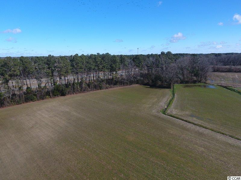 0 Stack Turner Road Chadbourn, NC 28431 - Photo 6 of 10