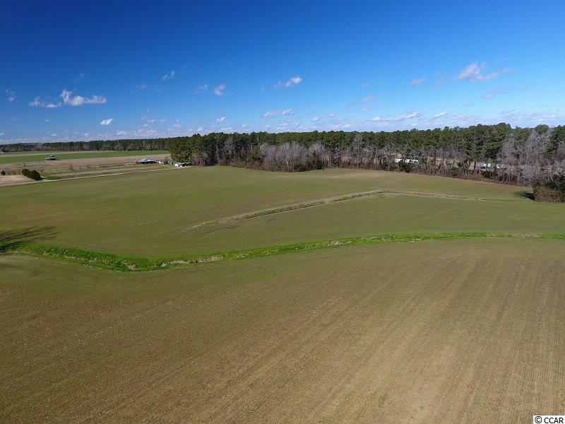 0 Stack Turner Road Chadbourn, NC 28431 - Photo 9 of 10