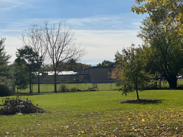 a view of a field with tree s