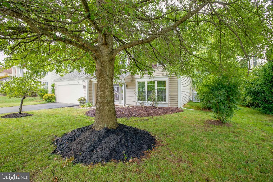 7032 Bedrock Road Alexandria, VA 22306 - Photo 2 of 41 Gallery Image 2