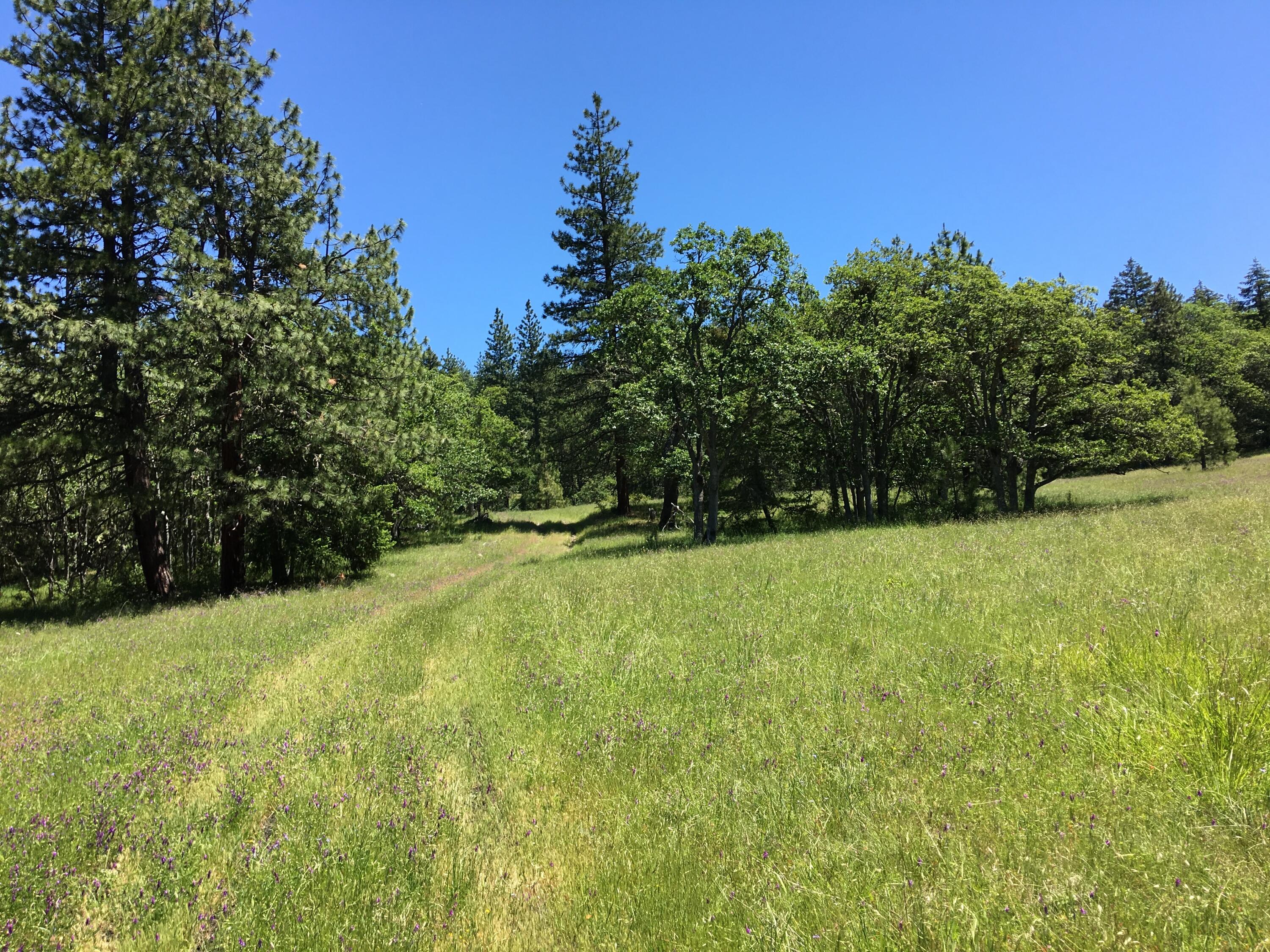 8000 Hillcrest Road Medford, OR 97504 - Photo 24 of 36 IMG_3176