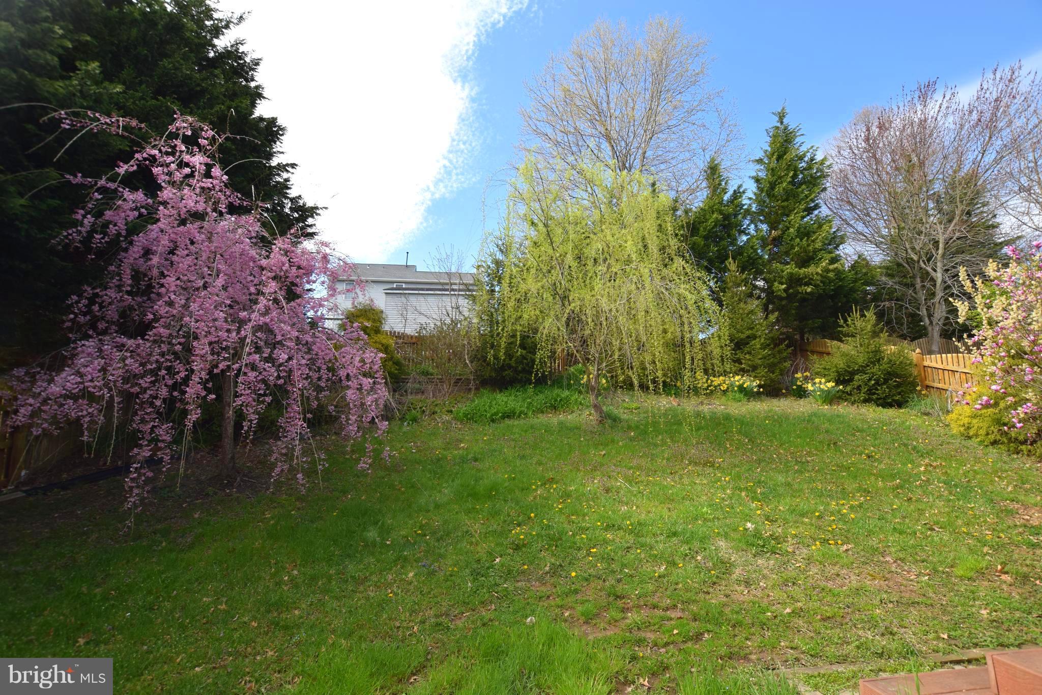 356 Enfield Road Joppa, MD 21085 - Photo 28 of 30 Fully Fenced Landscaped Backyard is a PARADISE!