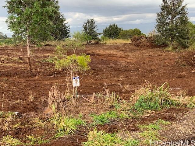 a view of lake view with large trees