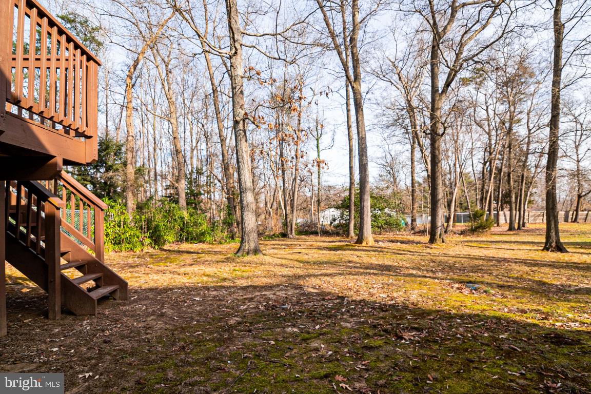 2017 Spring Grove Drive Accokeek, MD 20607 - Photo 35 of 35 VIEW FROM BASEMENT WALK UP STAIRS