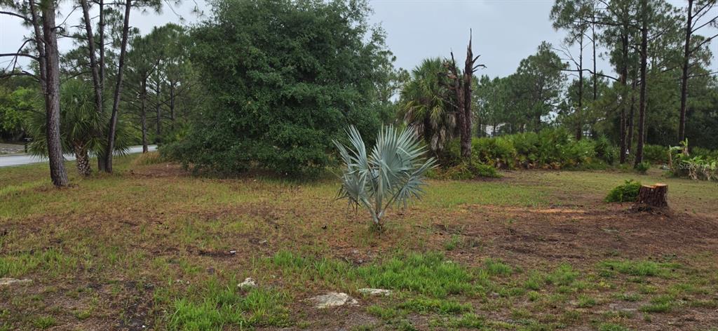 41 Perennial Road North Port, FL 34291 - Photo 4 of 6 Gallery Image 4