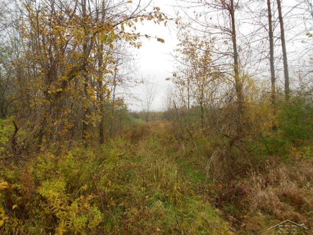 V/l Webster Freeland, MI 48623 - Photo 1 of 2