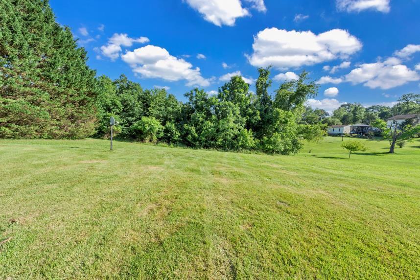 6400 Stewartsville Road Moneta, VA 24121 - Photo 24 of 33 a view of a green field with flowers in the background