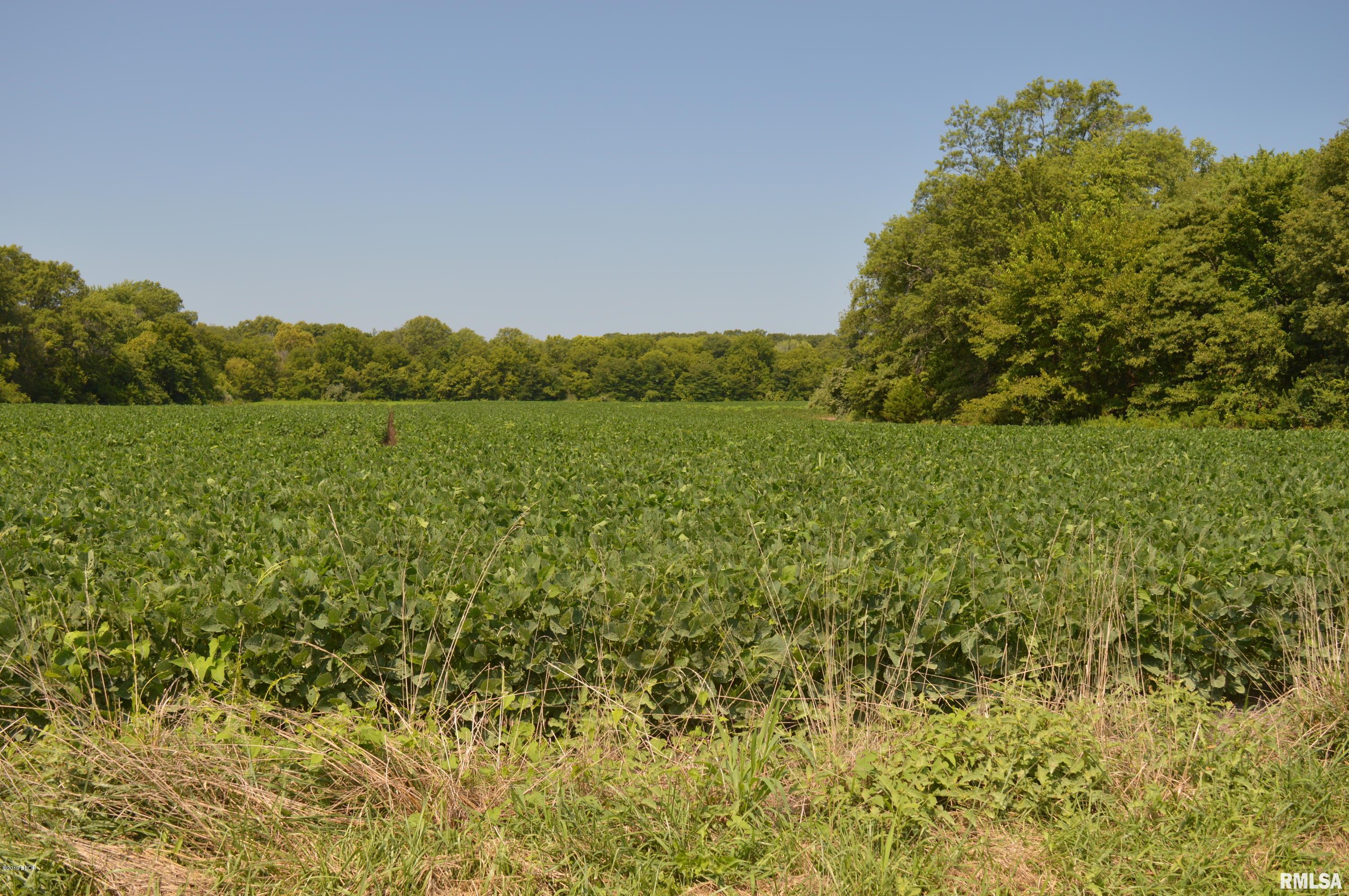 2400 East Halley Road Belle Rive, IL 62810 - Photo 1 of 1