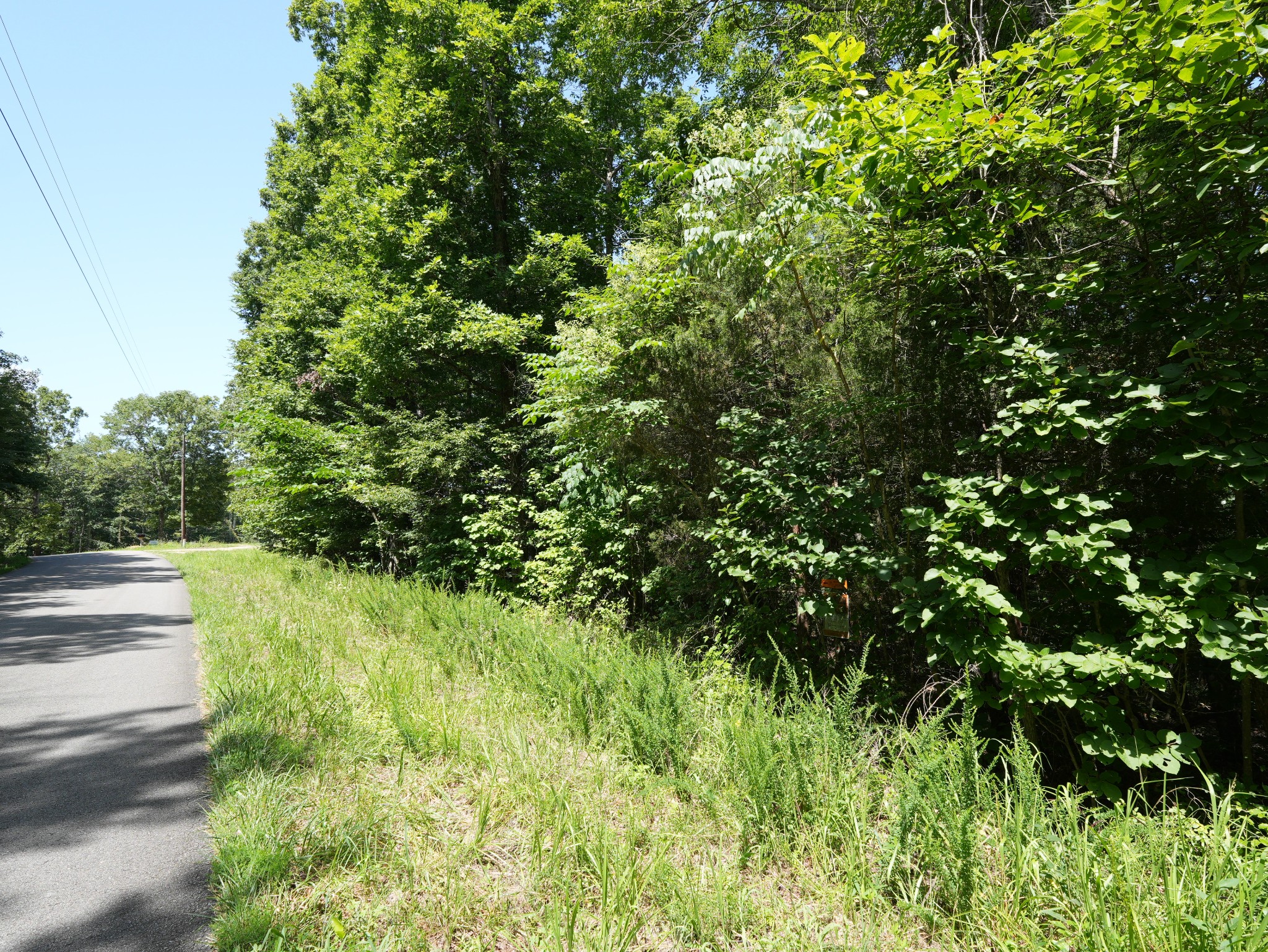 5 Tummins Road McEwen, TN 37101 - Photo 3 of 41
