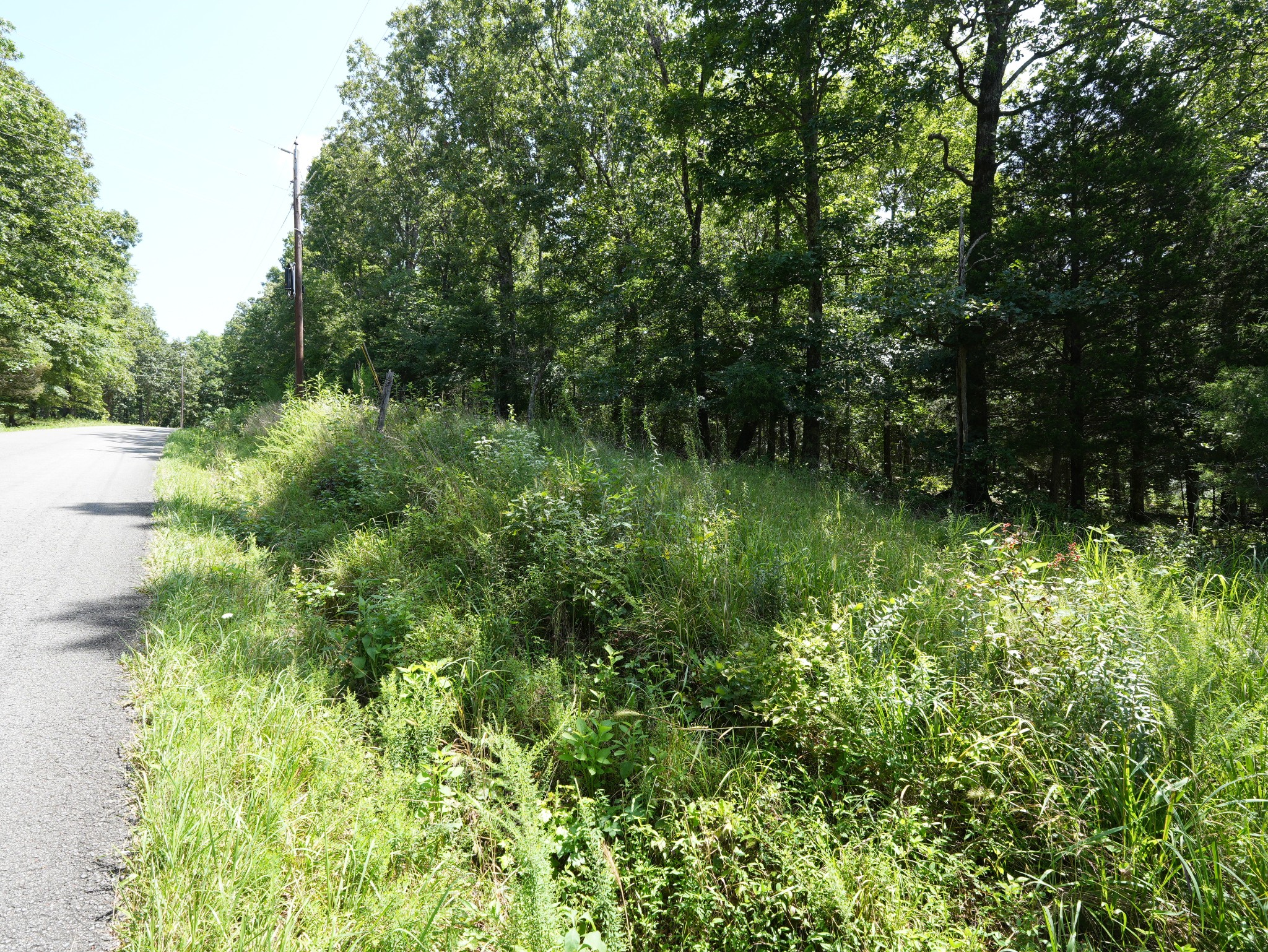 5 Tummins Road McEwen, TN 37101 - Photo 33 of 41